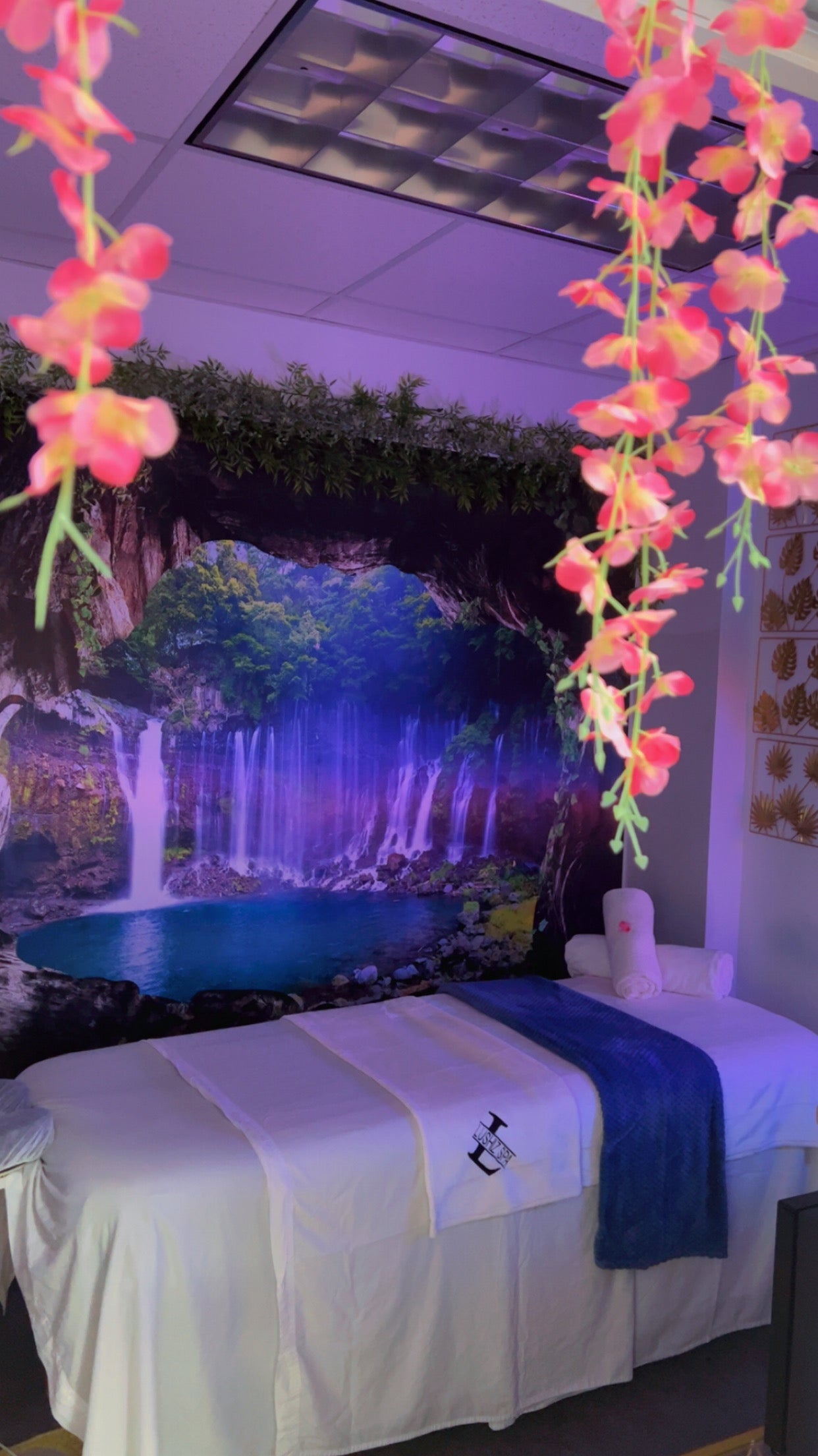 Reset & Restore Package